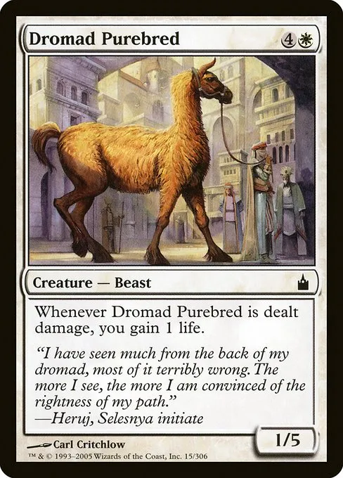 Dromad Purebred · Ravnica: City of Guilds 15/306