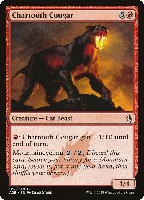 Chartooth Cougar · Masters 25 125/249