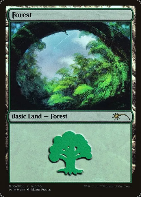 Forest · 2017 Gift Pack 5/5
