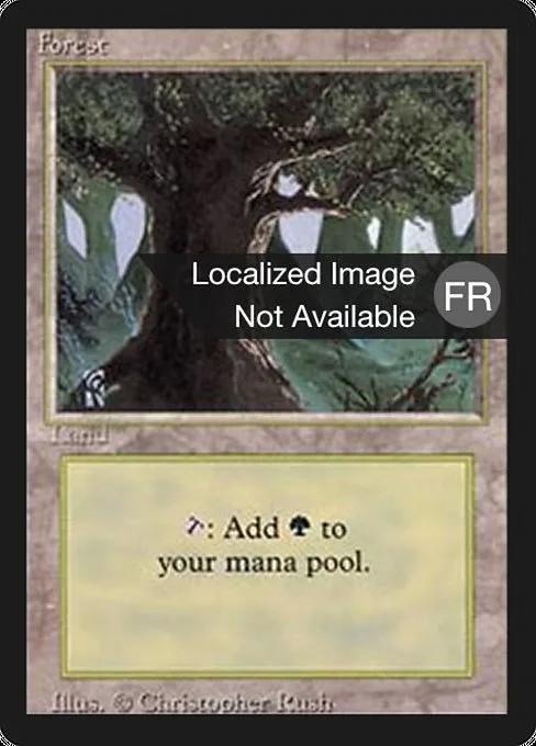 Forest · Foreign Black Border 304/307