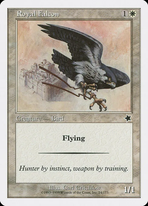 Royal Falcon · Starter 1999 24/173