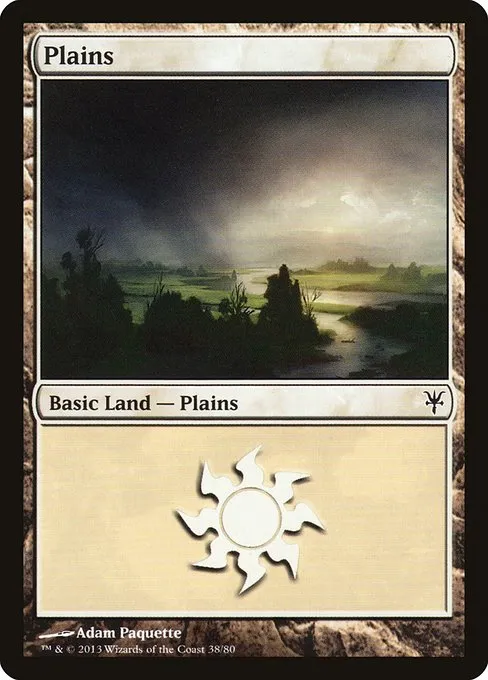 Plains · Duel Decks: Sorin vs. Tibalt 38/80