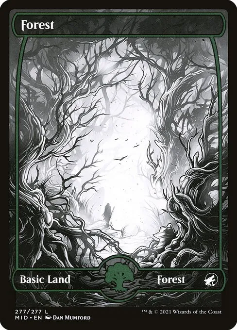 Forest · Innistrad: Midnight Hunt 277/399