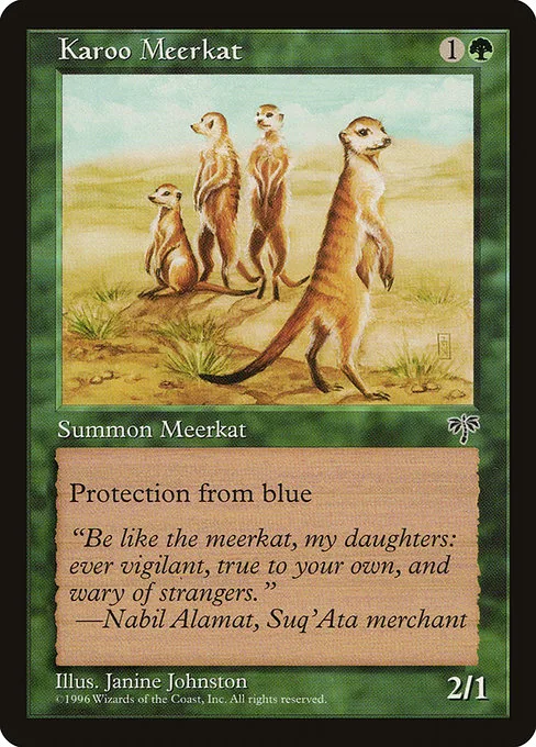 Karoo Meerkat · Mirage 225/353