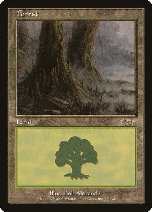 Forest · Arena League 2003 5/8