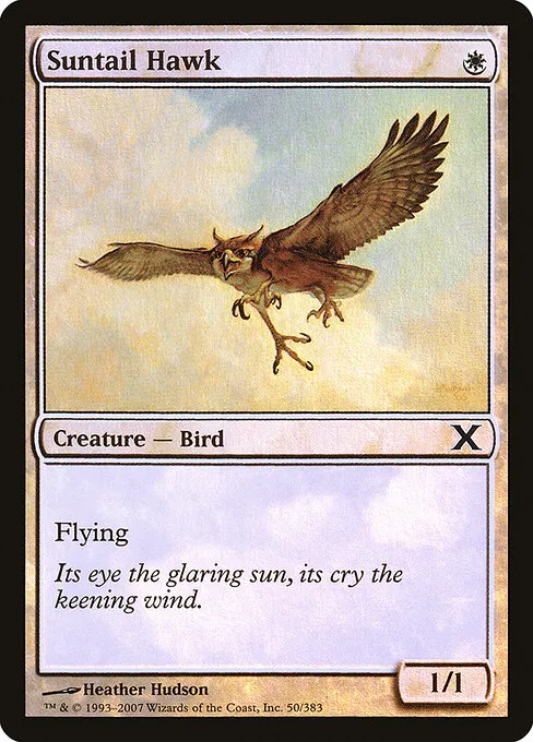 Suntail Hawk · Tenth Edition 50★/510