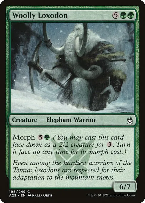 Woolly Loxodon · Masters 25 195/249