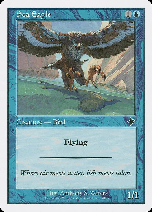 Sea Eagle · Starter 1999 50/173
