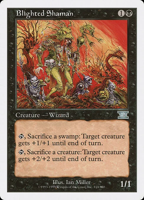 Blighted Shaman · Classic Sixth Edition 114/351