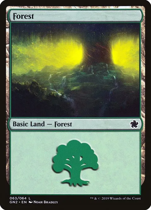 Forest · Game Night 2019 63/64