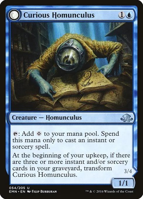 Curious Homunculus // Voracious Reader · Eldritch Moon 54/208