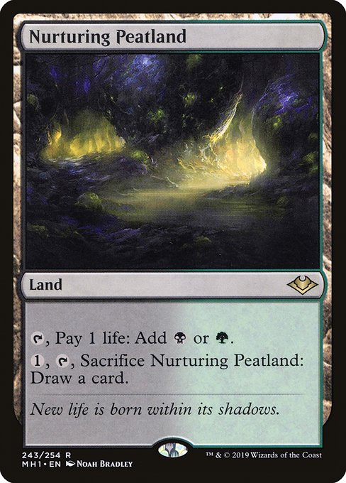 Nurturing Peatland · Modern Horizons 243/255