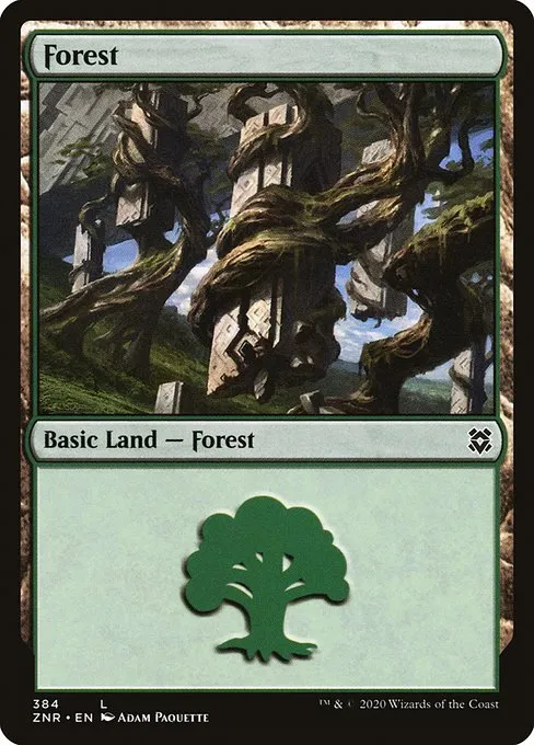 Forest · Zendikar Rising 384/407