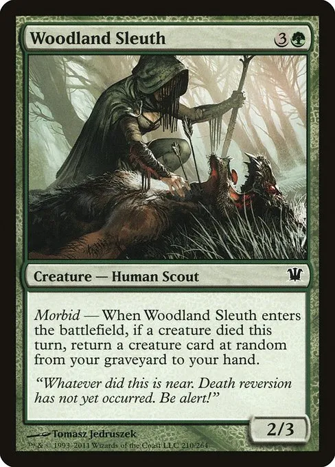Woodland Sleuth · Innistrad 210/264