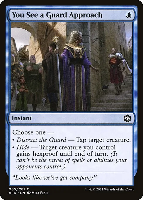 You See a Guard Approach · Adventures in the Forgotten Realms 85/424