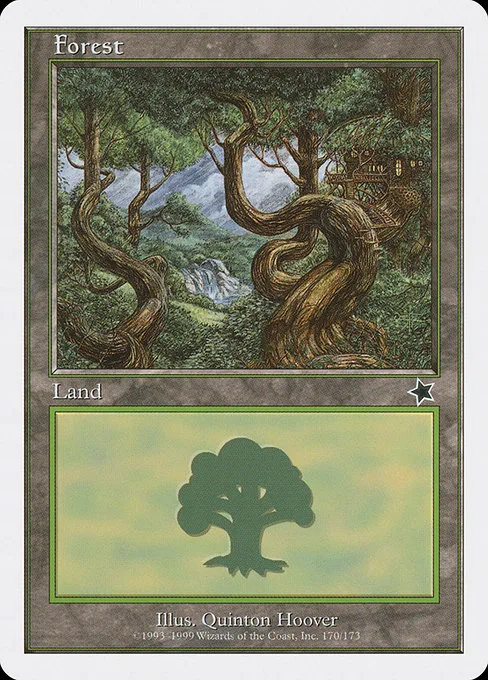 Forest · Starter 1999 170/173