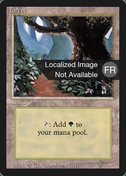 Forest · Foreign Black Border 305/307