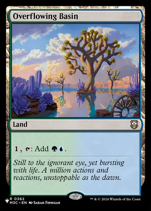 Overflowing Basin · The List M3C-362/5050