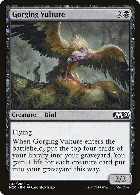 Gorging Vulture · Core Set 2020 102/346