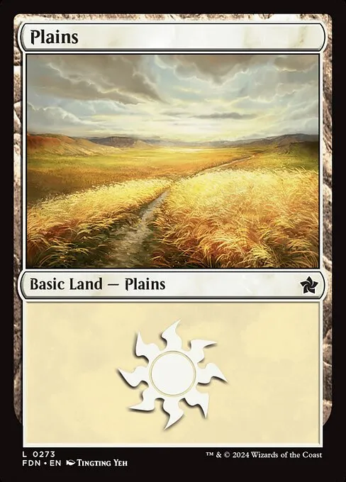 Plains · Foundations 273/771