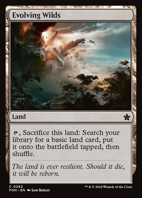 Evolving Wilds · Foundations 262/771
