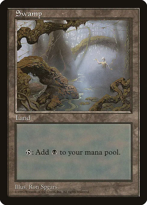 Swamp · Asia Pacific Land Program 15/15