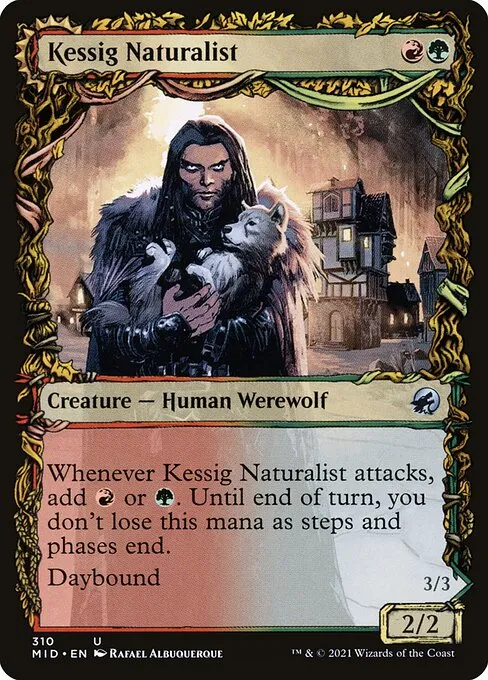 Kessig Naturalist // Lord of the Ulvenwald · Innistrad: Midnight Hunt 310/399