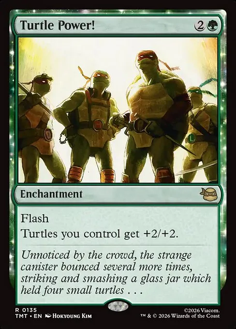 Turtle Power! · Teenage Mutant Ninja Turtles 135/320