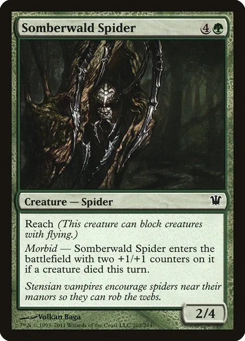 Somberwald Spider · Innistrad 202/264