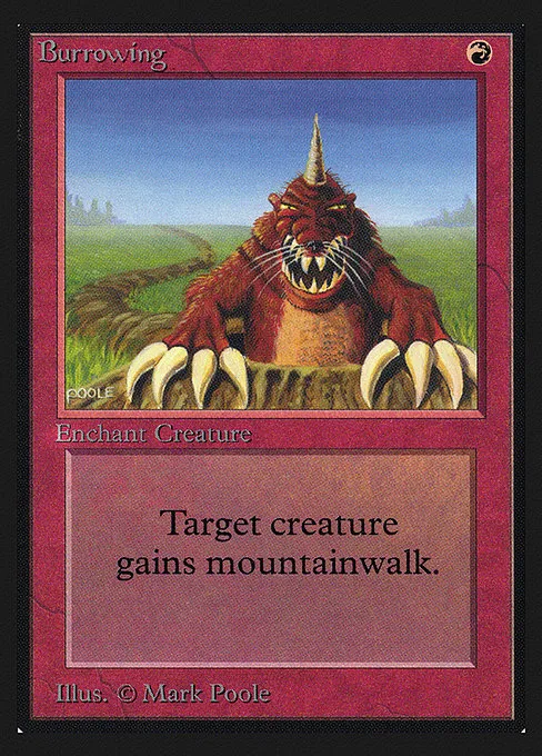 Burrowing · Collectors' Edition 139/302