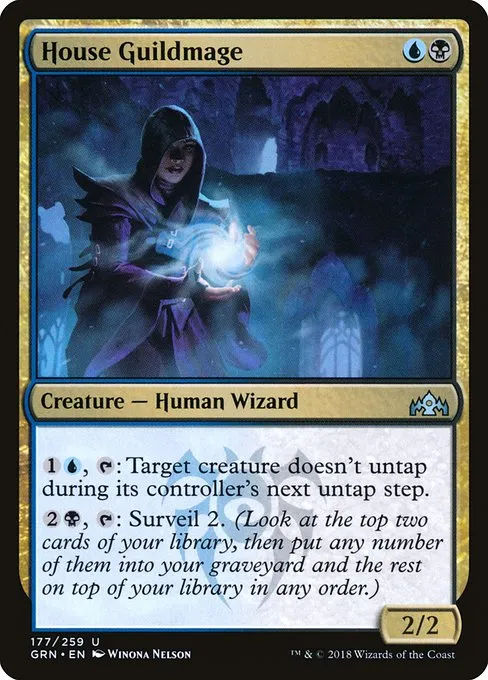 House Guildmage · Guilds of Ravnica 177/273