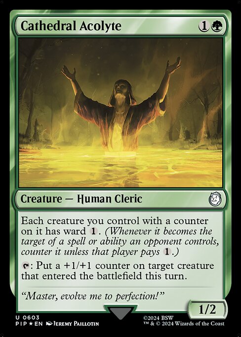 Cathedral Acolyte · Fallout 603/1068