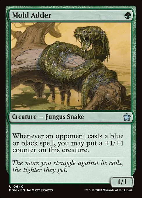 Mold Adder · Foundations 640/771