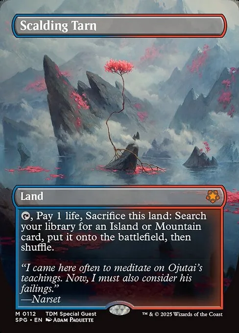 Scalding Tarn · Special Guests 112/165