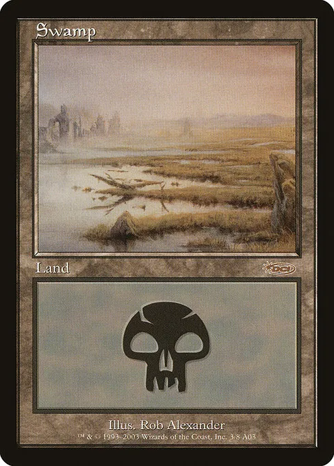 Swamp · Arena League 2003 3/8