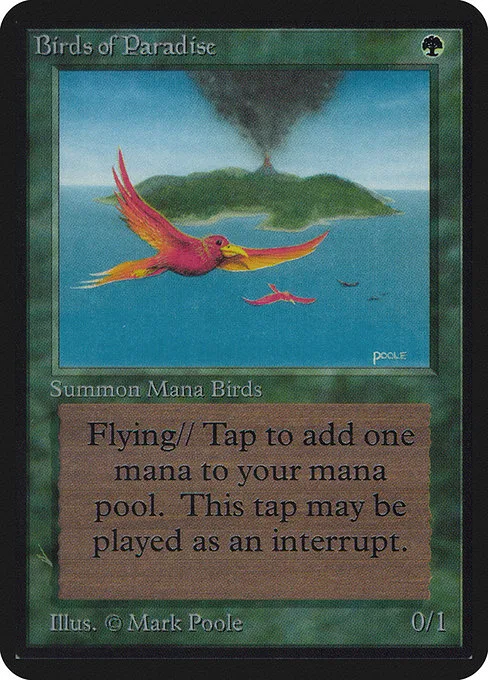 Birds of Paradise · Limited Edition Alpha 186/295