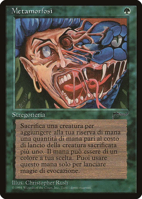 Metamorphosis · Rinascimento 130/69