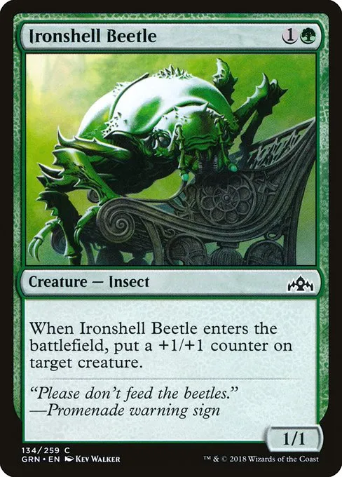Ironshell Beetle · Guilds of Ravnica 134/273