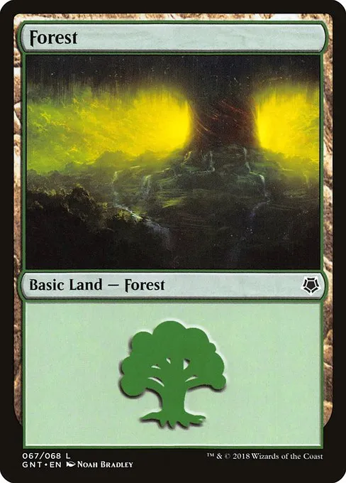 Forest · Game Night 67/68