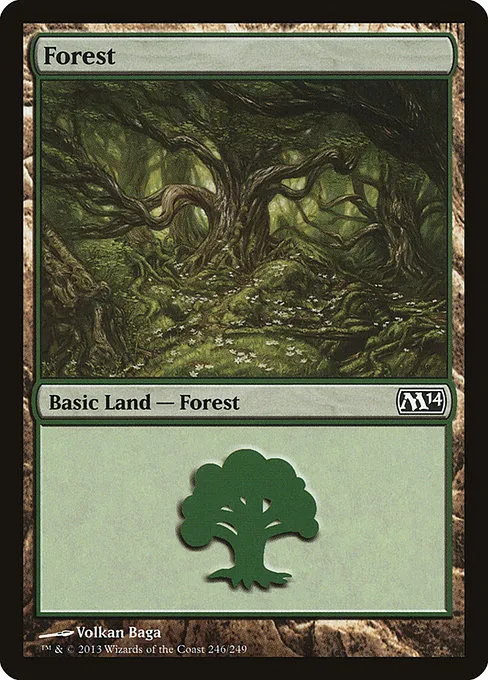 Forest · Magic 2014 246/249
