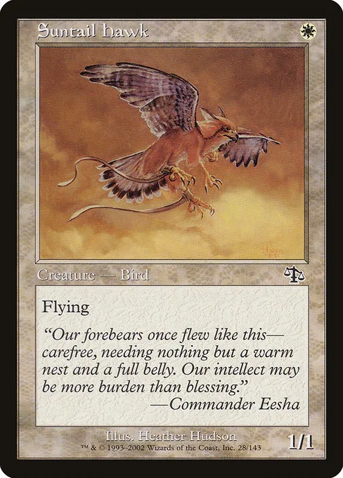 Suntail Hawk · Judgment 28/143