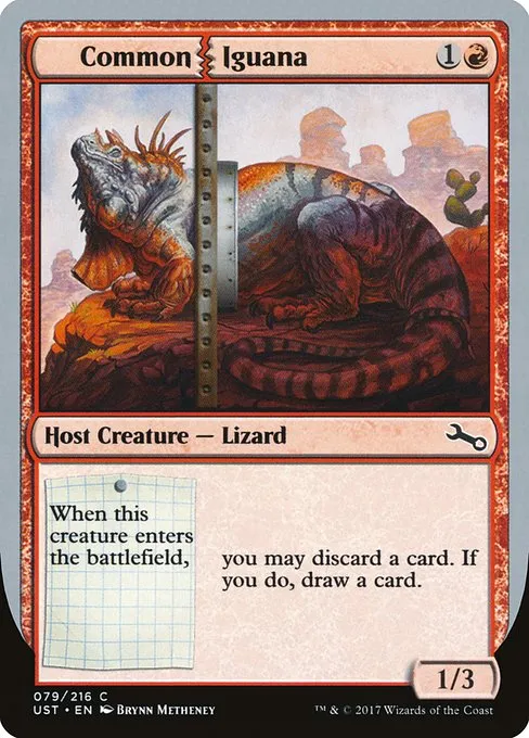 Common Iguana · Unstable 79/268