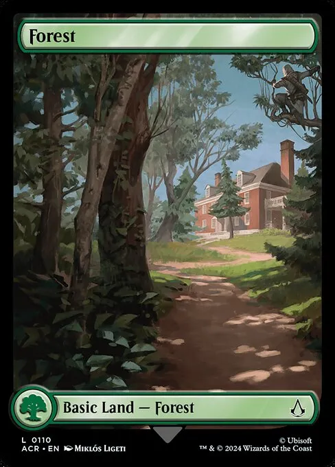 Forest · Assassin's Creed 110/309