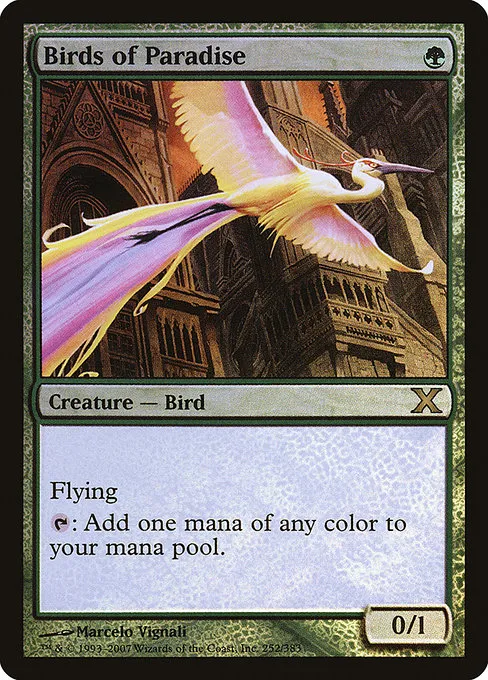 Birds of Paradise · Tenth Edition 252★/510
