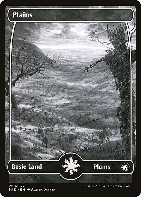 Plains · Innistrad: Midnight Hunt 268/399
