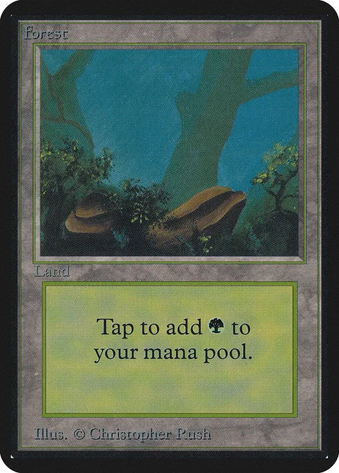 Forest · Limited Edition Alpha 294/295