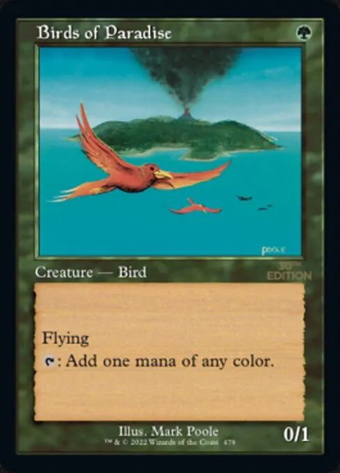Birds of Paradise · 30th Anniversary Edition 479/594