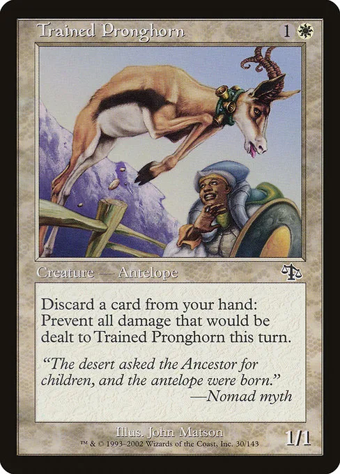 Trained Pronghorn · Judgment 30/143