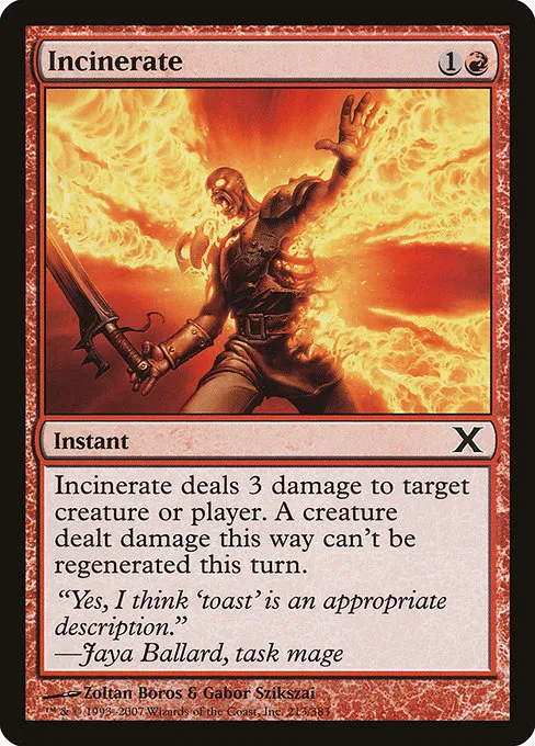 Incinerate · Tenth Edition 213/510
