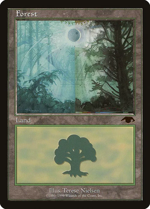 Forest · Guru 5/5